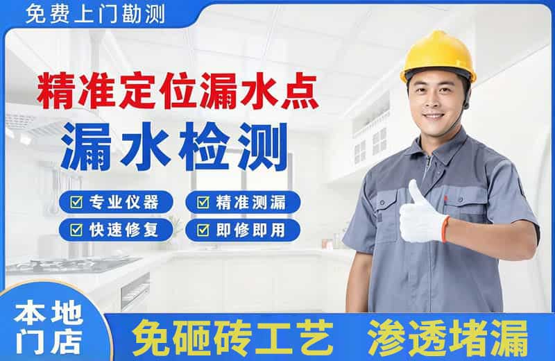 偃师精准测漏点